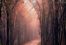 追光丨在海拔4000米追风，旦增吉美的速降人生.