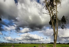 开元棋牌：会摔跤的朱老师（镜头里的体育故事）人民日报.