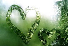 开元棋牌：会摔跤的朱老师（镜头里的体育故事）人民日报.