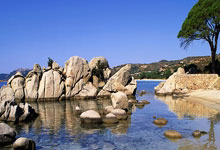 19岁泰拳小霸王不听裁判劝阻，白近斌临门一脚，把他踢进抢救室.